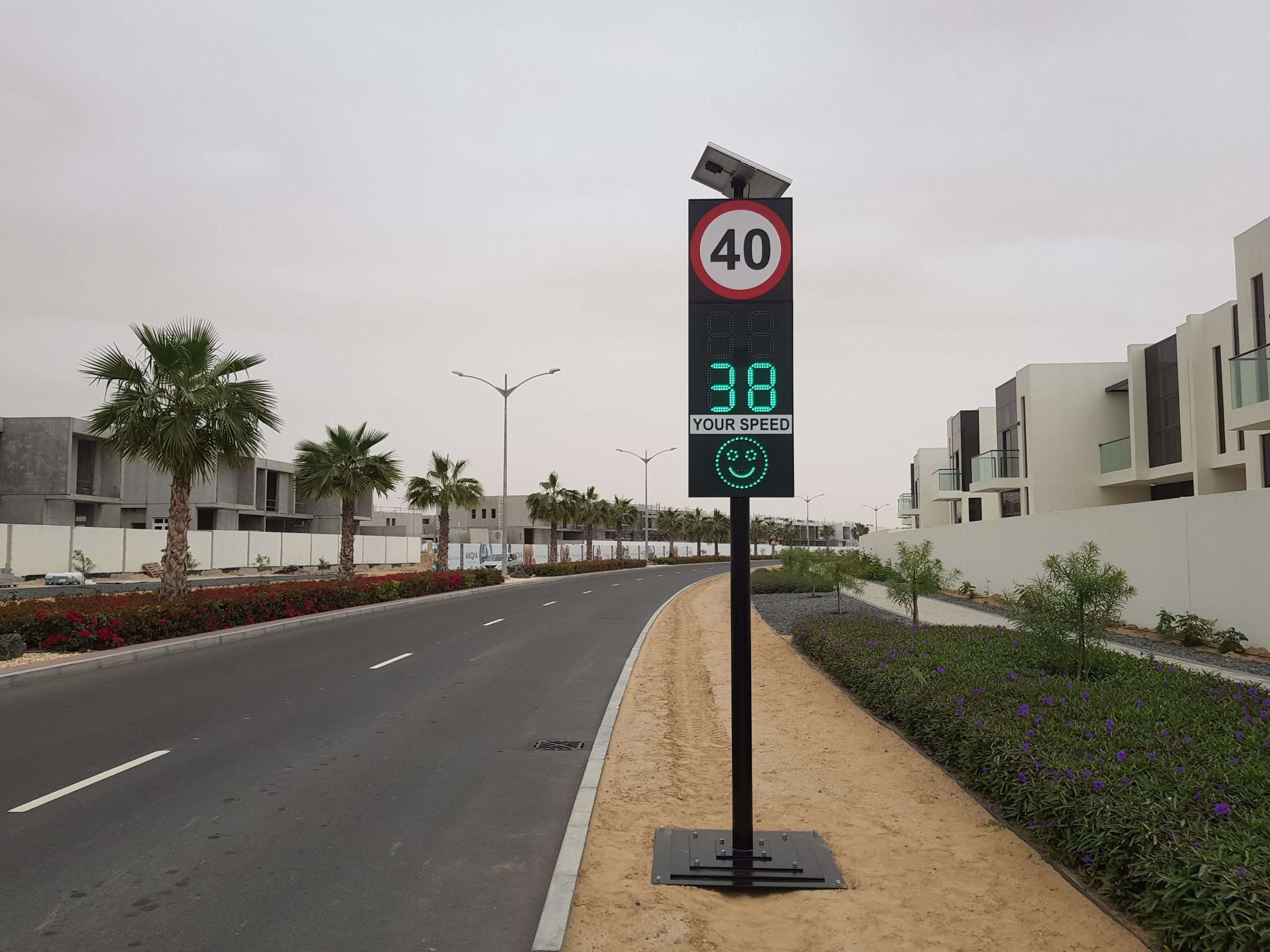 Your Speed Sign with Simple Face & Speed Limit